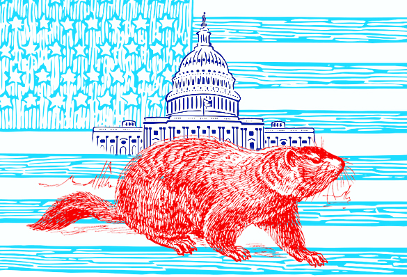 Groundhog with the Capitol