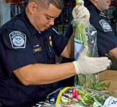 Ag Specialist at Work