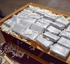 CBP Drug Bust