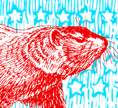 Groundhog