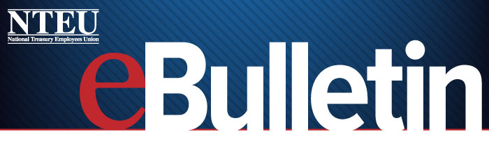 e-Bull-Header-no-the