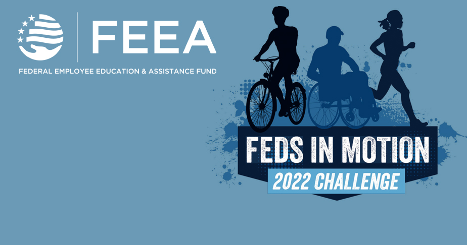 FEEA-2022 Challenge